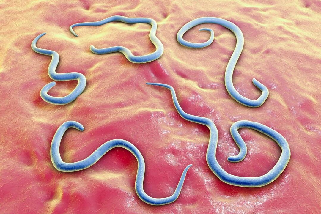 parazitski črvi v človeškem telesu